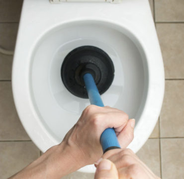 clogged toilet plumber mountain view ca